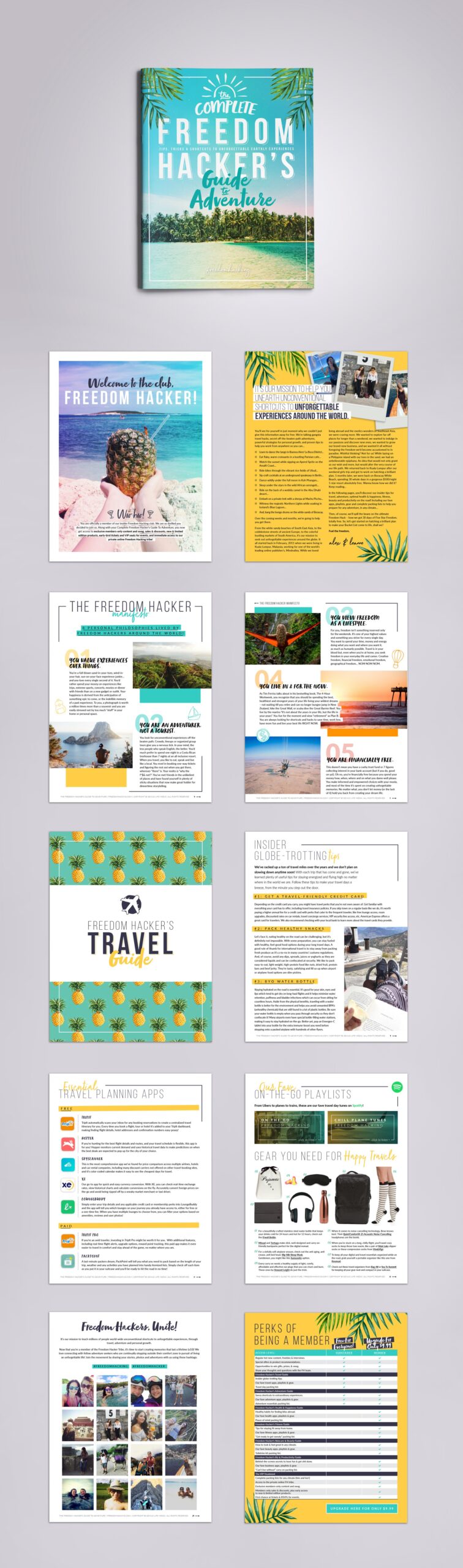 Freedom Hacker_s Guide