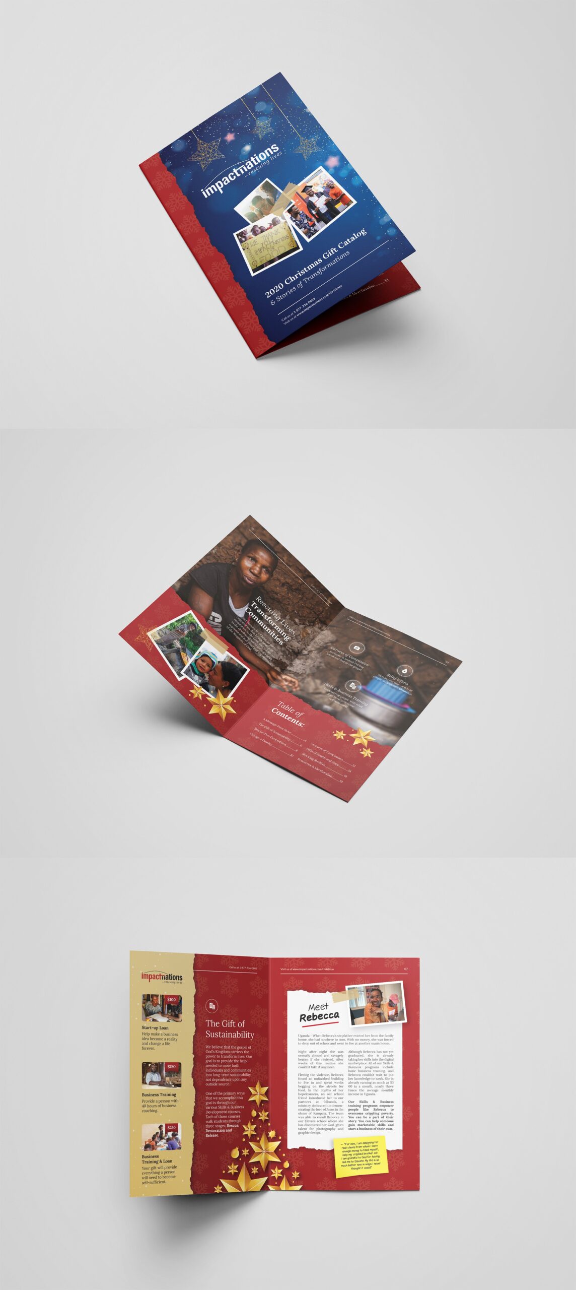 Impactnations+Brochure1